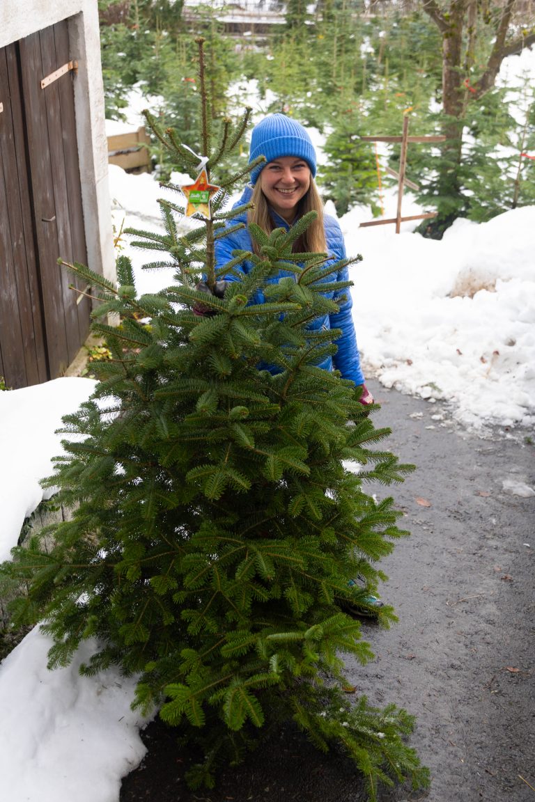 „Ich finde es einfach schön, sich so ein Naturprodukt ins Wohnzimmer zu holen und dann ein Stück Natur zuhause zu haben. Ein Christbaum steht mit seinem Grün auch für Hoffnung“, sagt Stefanie Kaufmann. „Ich nehme immer extra einen, der nicht so perfekt ist.“