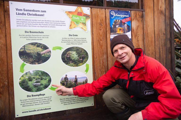 Martin Kaufmann erklärt, wie die Christbäume in Vorarlberg angebaut werden. 