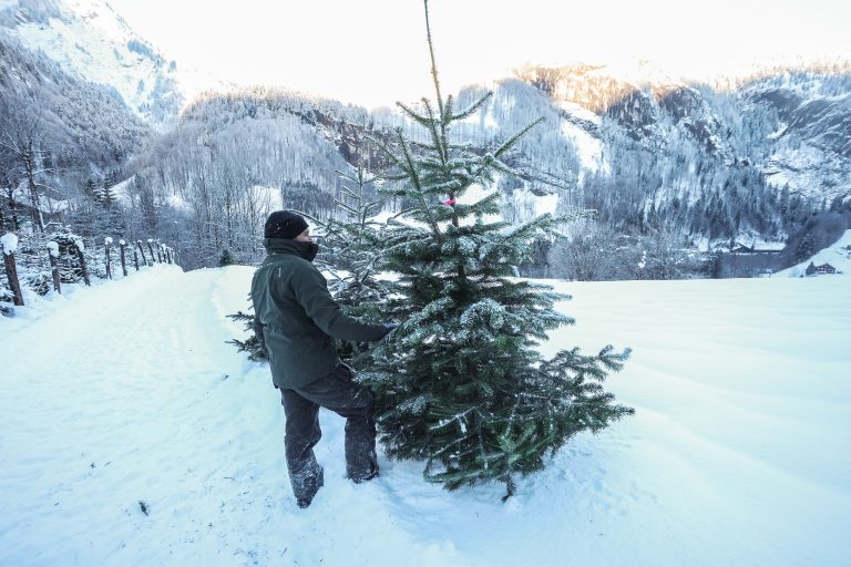 Und wie wird das Wetter zu Weihnachten? Orlik ist vorsichtig. Es sei jedoch mit überdurchschnittlichen Temperaturen zu rechnen. <span class="copyright">Foto: VN/Steurer</span>