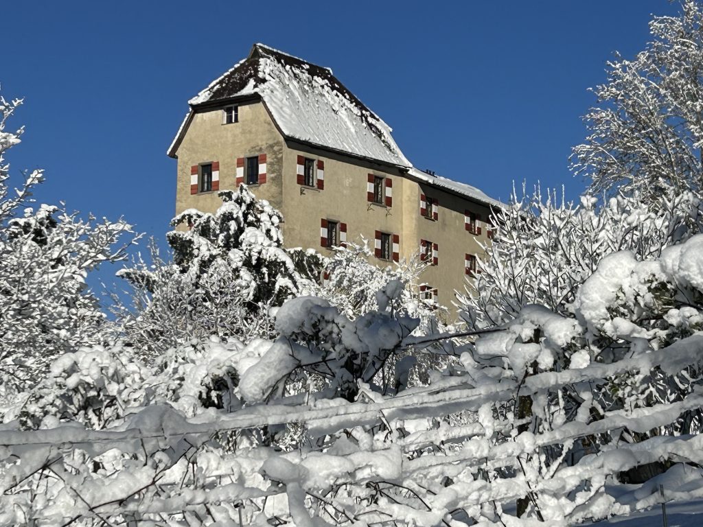 Edle Produkte im historischen Ambiente von Schloss Amberg