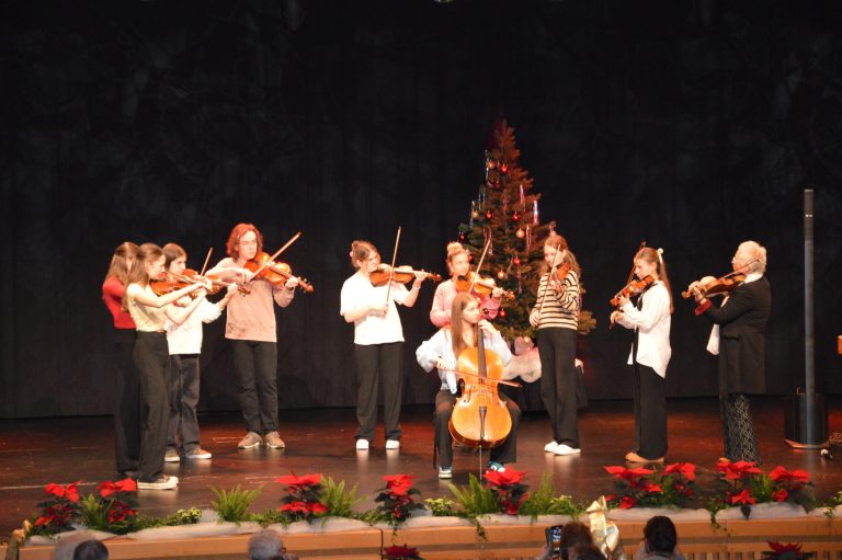 Die Fiddle-Cats brachten Schwung in den Saal.