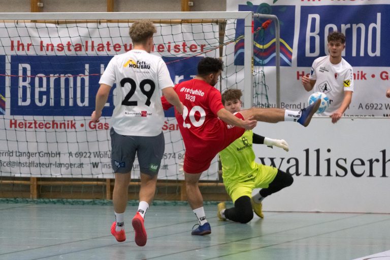 Ramkweil vs. Egg. <span class="copyright">VN-Stiplovsek</span>