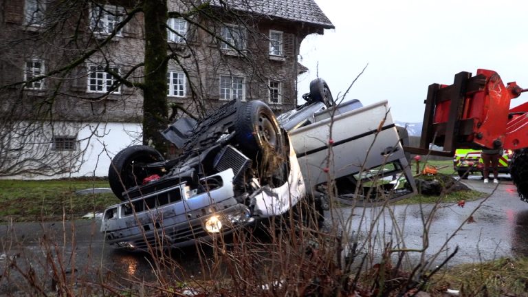 Der Fahrer konnte sich selbst aus dem Wrack befreien.