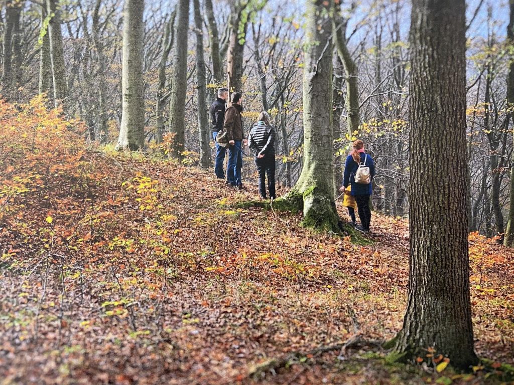 Im Frühjahr 2024 sollen erstmals in Vorarlberg Bestattungen im Wald möglich sein. »A6