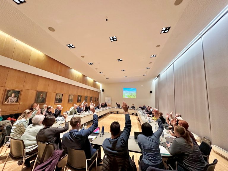 Budgetvoranschlag Lustenau 24