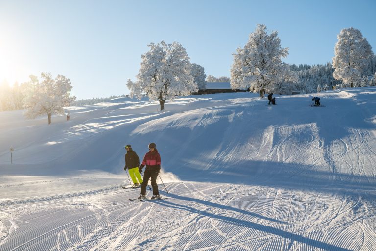 VN/Rhomberg