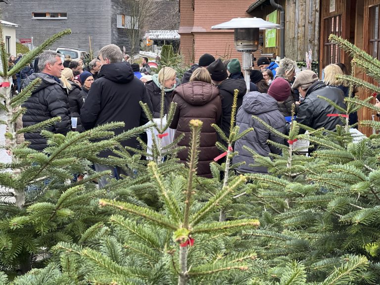 Eine Institution ist das ikp-Christbaumschneiden bei Martin Kaufmann in Watzenegg geworden.