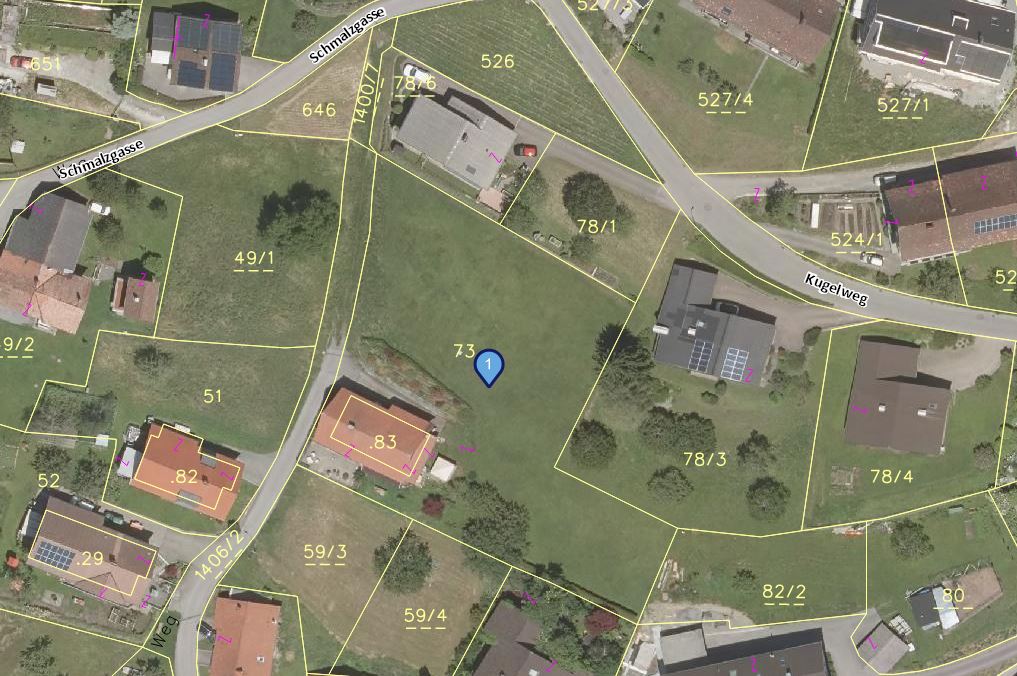 Land Vorarlberg: data.vorarlberg.gv.at, BEV (DKM)