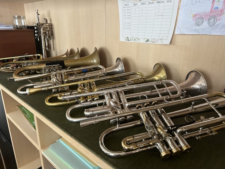 Die Instrumentensammlung des Musikers. <span class="copyright">VN/mef</span>
