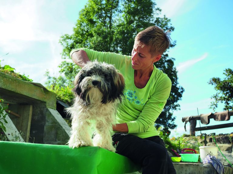 Bei Hunden dauert die Behandlung zwischen 45 Minuten und einer Stunde. <span class="copyright">Rebekka Sohm</span>