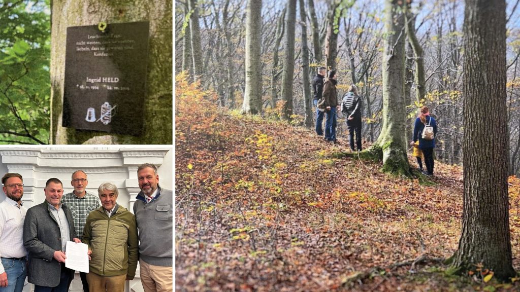 Waldbestattung in Vorarlberg erstmals ab Frühjahr 2024 möglich
