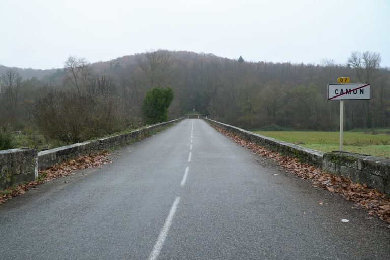 Batty tauchte auf einer Landstraße in Südwest Frankreich auf. AFP