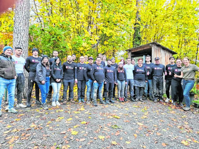 Das Team der Wiener Städtischen Versicherung aus Feldkirch besuchte den Wildpark Feldkirch, um bei der Beseitigung des herbstlichen Laubs zu helfen.Wildpark Feldkirch