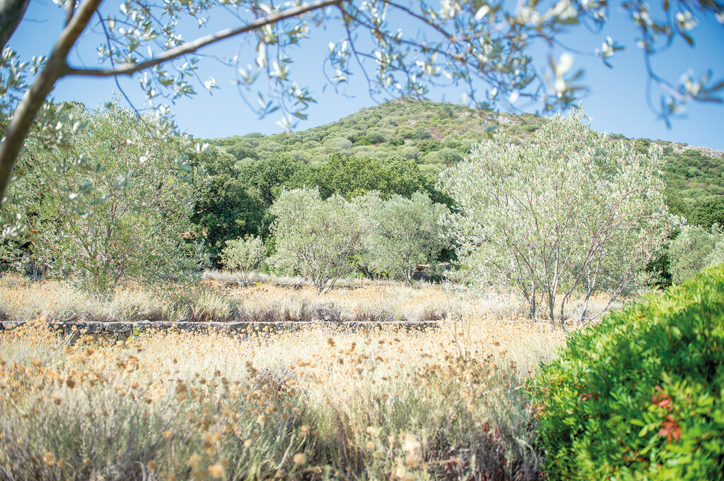 Naturvielfalt im Parc de Saleccia
