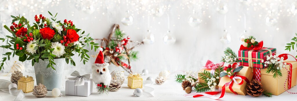 Pflanzen sorgen für Adventzauber
