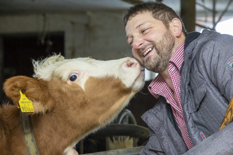 Der Bauer und sein liebes Vieh.