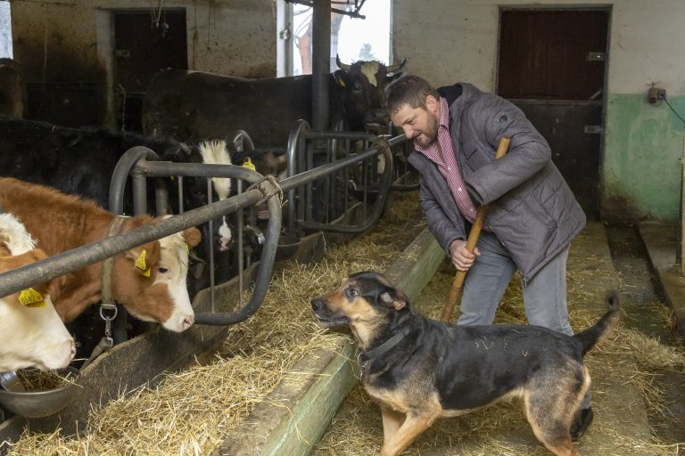 Die Stallarbeit ist schwierig, wenn man nur eine Hand hat.