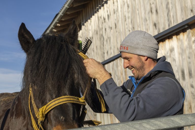 Die Frisur sitzt: Sepp Waldner macht seinen Noriker Harri für das Fotoshooting flott. 