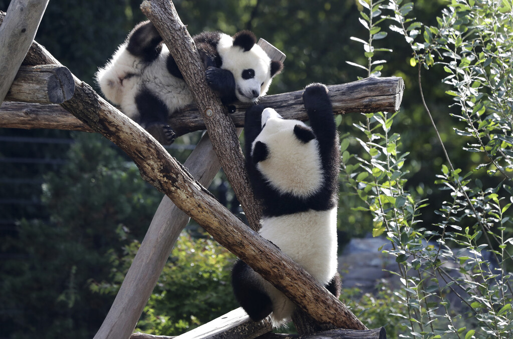 Pit und Paule gut in China angekommen
