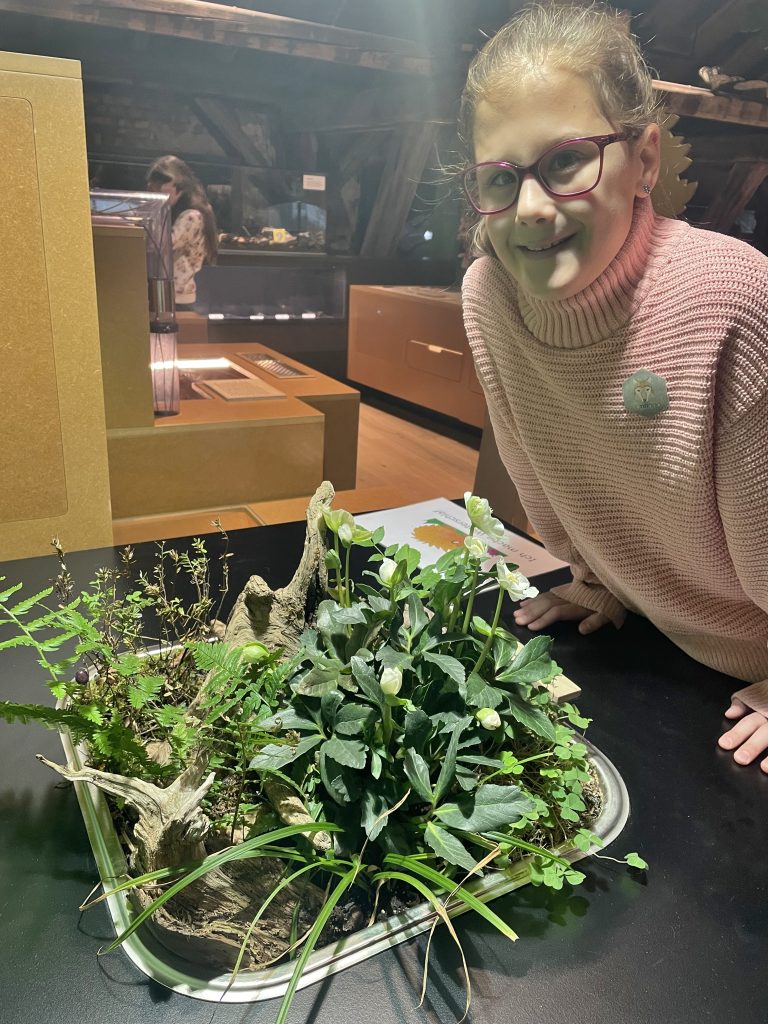 Leonie auf der Suche nach ihrer zuvor versteckten Nuss.