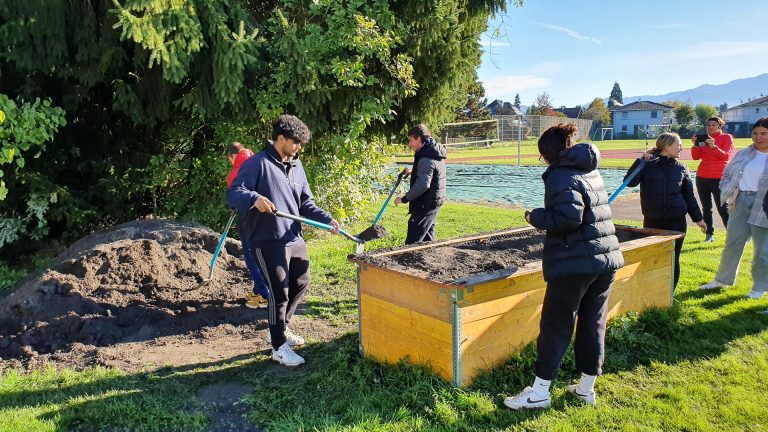 Gemeinsam bauten die Schüler ein Hochbeet.<span class="copyright">Schule</span>