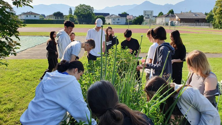 Die Marktgemeinde Lustenau vergibt am Montag, 15. Jänner, den Umweltpreis. <span class="copyright">Schule</span>
