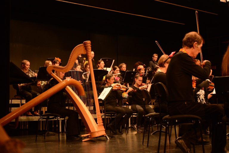 Das Finale des Konzerts bestritt die Sinfonietta der Musikschule unter der Leitung von Marcus Hartmann.