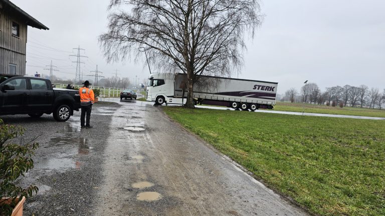 Eine Aufnahme des Naherholungsgebiets, das durch die geplante Lkw-Trasse bedroht wird.