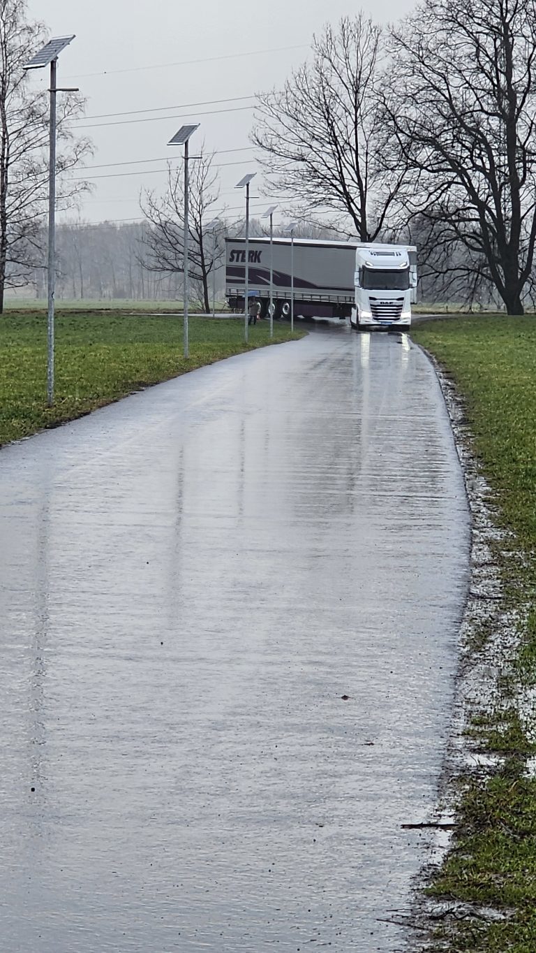 Eine Gruppe von Bürgerinnen und Bürgern aus Altach versammelt sich, um gegen die geplante Lkw-Trasse zu demonstrieren.