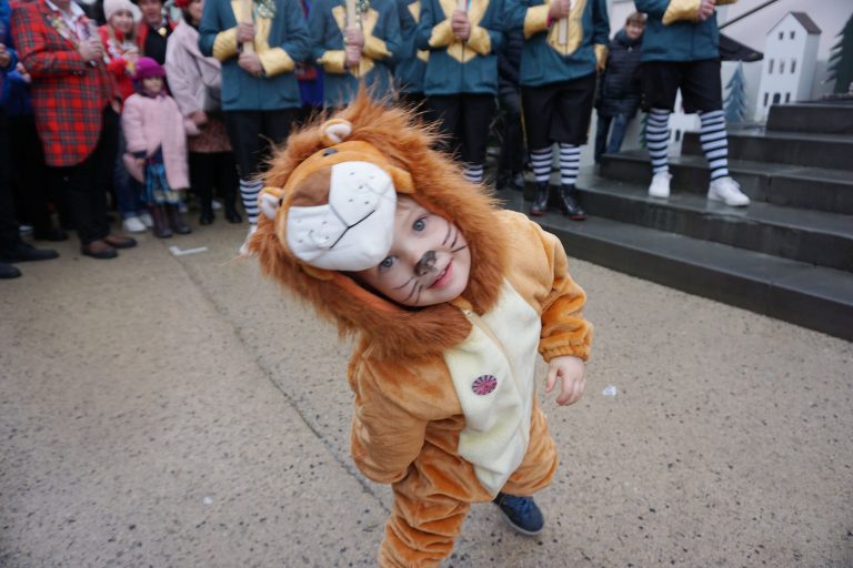 Der kleine Löwe ist dem Prinzenzirkus ausgebüxt.