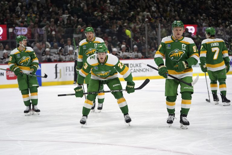 Ducks Wild Hockey