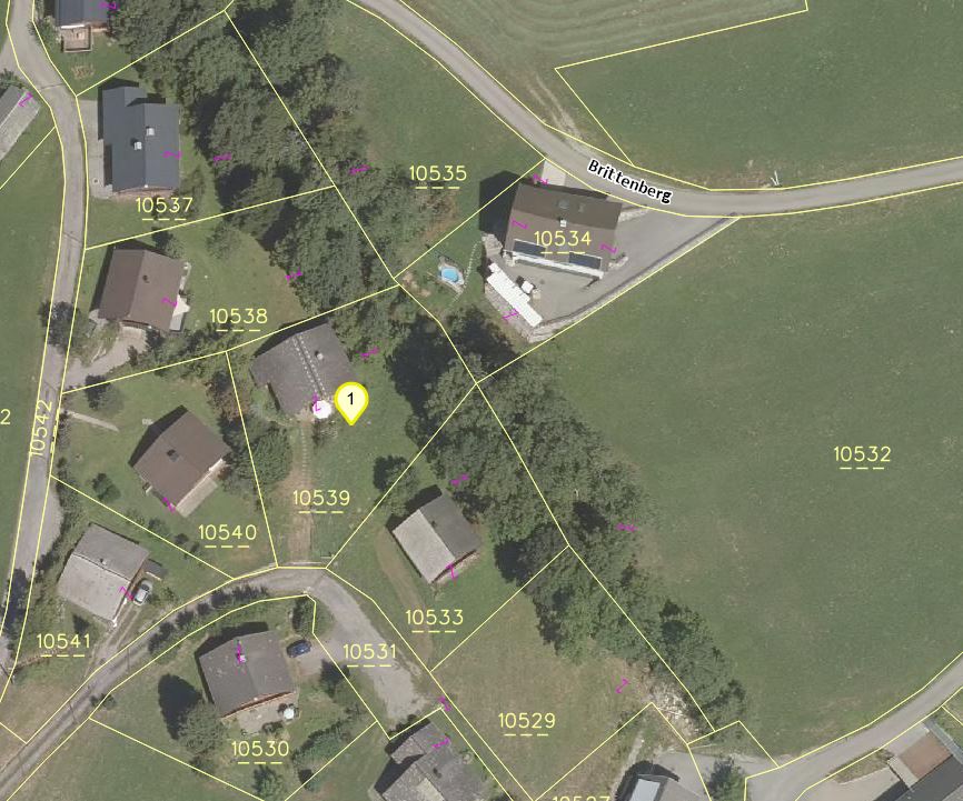 Land Vorarlberg: data.vorarlberg.gv.at, BEV (DKM)