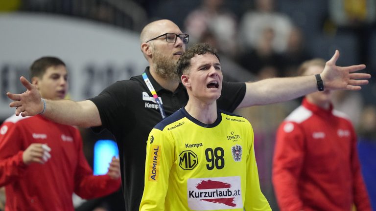 ÖHB-Teamchef Ales Pajovic haderte mit einigen Entscheidungen der Schiedsrichter. <span class="copyright">AP</span>