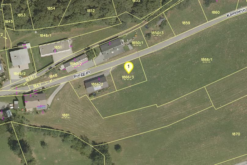 Land Vorarlberg: data.vorarlberg.gv.at, BEV (DKM)