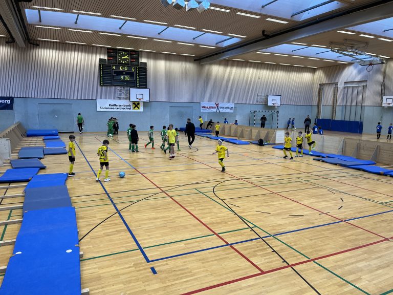 Die zwei Spielfelder an den Seiten wurden durch eine Aufwärm- und Wechselzone getrennt. <span class="copyright">VN/Plesch</span>