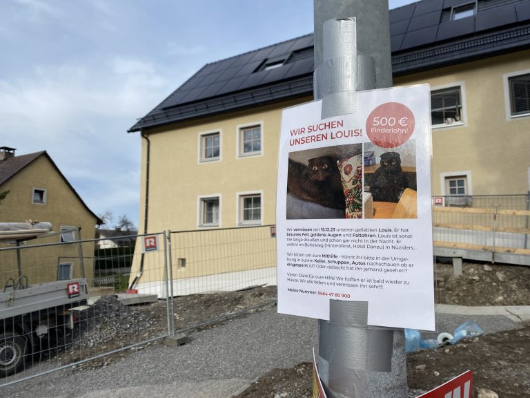 In der Siedlung werden Katzen vermisst. <span class="copyright">VN/Rauch</span>