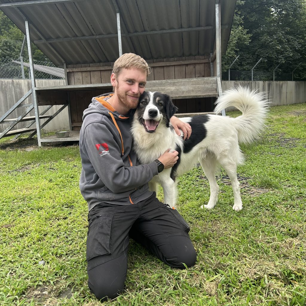 Verschmuster &#8220;Willi&#8221; sucht liebe Besitzer