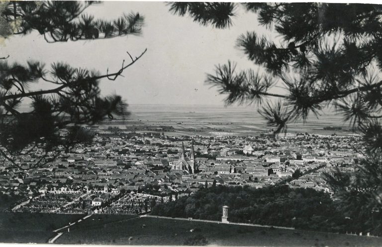 Kari wuchs in der Stadt Werschetz auf.