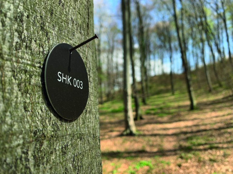 Jeder Baum bekommt zudem eine Nummer, damit Angehörige ihn leichter wiederfinden können. <br><span class="copyright">KLOSTERWALD VERWALTUNGS GMBH</span>