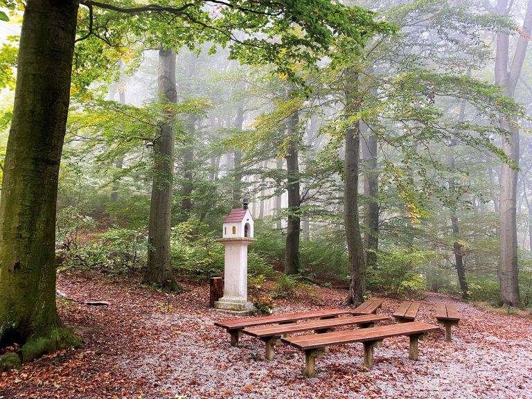 Klosterwald Verwaltungs GmbH