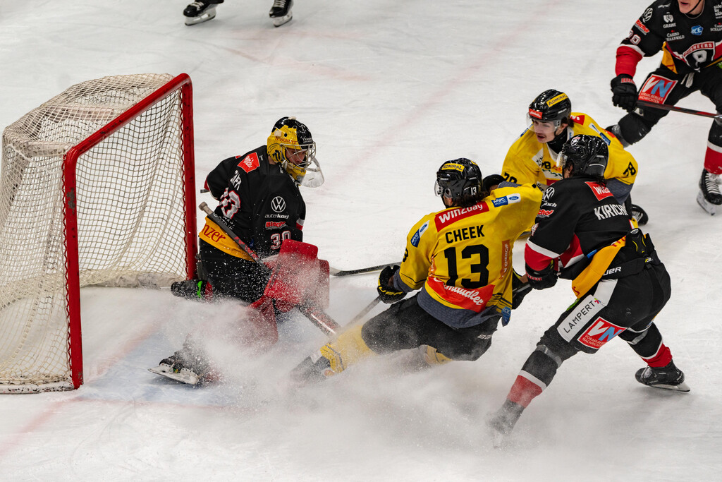 Pioneers holen wichtige Punkte