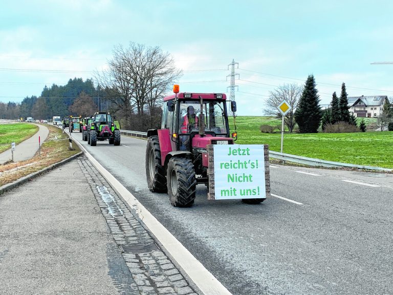 Die Bauern ziehen ins Feld