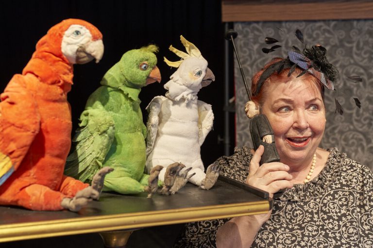 14.30+16 Uhr Puppentheater, Götzis