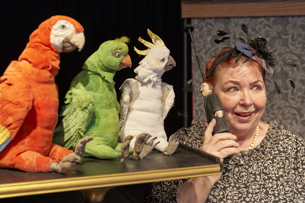 14.30+16 Uhr Puppentheater, Götzis