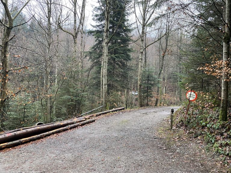 Hier geht es auf den Parkplatz. <span class="copyright">VN/JUN</span>
