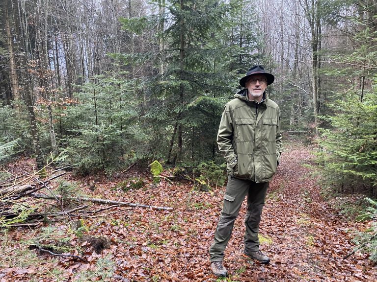 Walter Amann kümmert sich seit 20 Jahren um den Bludescher Wald. <span class="copyright">VN/JUN</span>