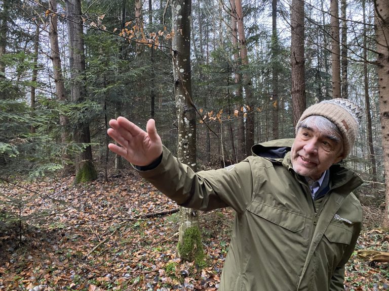 Christian Berner erklärt die unterschiedlichen  Baumarten, die hier wachsen. <span class="copyright">VN/JUN</span>
