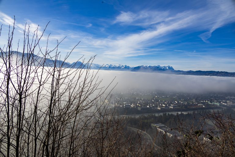 Im Rheintal lieferte die Sonne dem Nebel einen Kampf. Der Nebel war klarer Punktesieger. <span class="copyright">VN/Paulitsch</span>