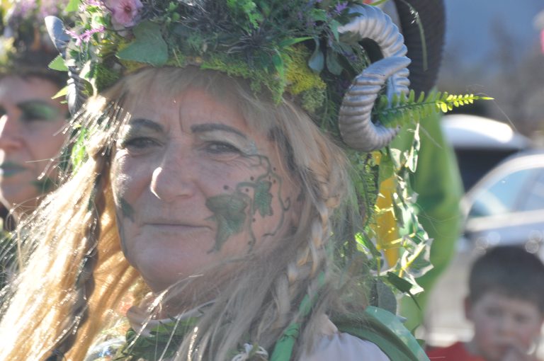 Die Waldfeen