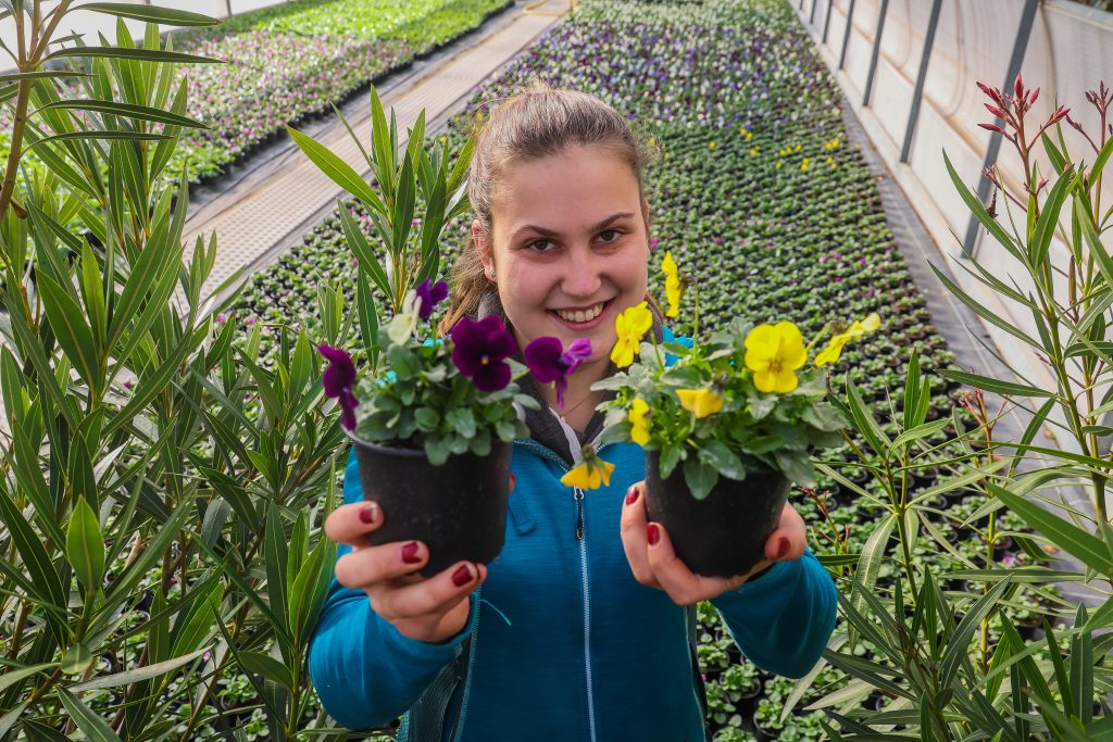 Ab ins Beet für 50.000 Frühlingsboten